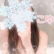 ヒメ日記 2024/05/13 03:00 投稿 T.こゆき amuse-アミューズ-