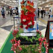 ヒメ日記 2026/08/09 14:32 投稿 あいる 熟女の風俗最終章 池袋店