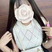 ヒメ日記 2024/12/28 11:31 投稿 ひなた New Sky