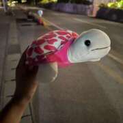 ヒメ日記 2025/01/15 09:56 投稿 ひなた New Sky