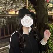 ヒメ日記 2025/04/13 14:09 投稿 ひなた New Sky