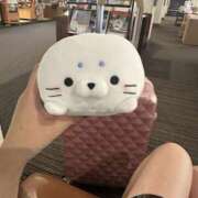 ヒメ日記 2025/07/24 12:43 投稿 ひなた New Sky