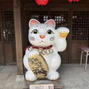 ヒメ日記 2025/09/24 09:55 投稿 ひなた New Sky