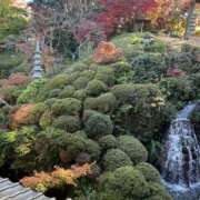 ヒメ日記 2025/11/30 22:56 投稿 ひなた New Sky