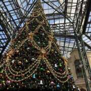 ヒメ日記 2025/12/24 11:45 投稿 ひなた New Sky