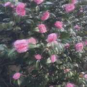 ヒメ日記 2025/12/26 01:09 投稿 ひなた New Sky