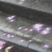 ヒメ日記 2025/12/27 15:07 投稿 ひなた New Sky