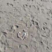 ヒメ日記 2026/01/25 14:05 投稿 ひなた New Sky