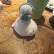 ヒメ日記 2026/02/24 12:18 投稿 ひなた New Sky