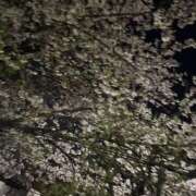 ヒメ日記 2026/04/05 07:56 投稿 ひなた New Sky