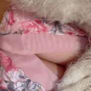 ヒメ日記 2025/10/27 22:19 投稿 新垣 あんず リップスティック