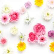 ヒメ日記 2025/04/20 20:42 投稿 佳乃（よしの） 東金人妻花壇