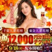 ヒメ日記 2026/09/19 09:34 投稿 瑠璃子(るりこ) 東金人妻花壇