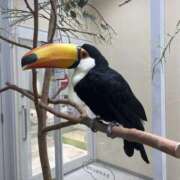 ヒメ日記 2025/10/23 16:35 投稿 真昼（まひる） 東金人妻花壇