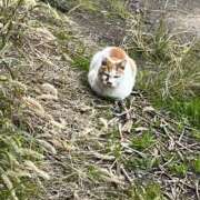 ヒメ日記 2025/11/24 17:13 投稿 真昼（まひる） 東金人妻花壇