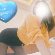 ヒメ日記 2025/01/08 06:27 投稿 胡桃(くるみ) 東金人妻花壇