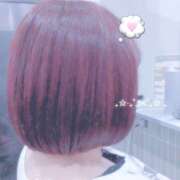 ヒメ日記 2026/04/15 10:44 投稿 ゆな 癒 -いやし‐