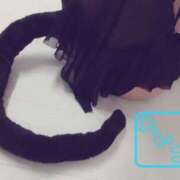 ヒメ日記 2025/02/22 13:22 投稿 玲子(れいこ） 東金人妻花壇