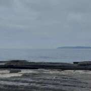 ヒメ日記 2025/04/24 22:32 投稿 玲子(れいこ） 東金人妻花壇