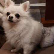 ヒメ日記 2025/08/02 21:00 投稿 玲子(れいこ） 東金人妻花壇