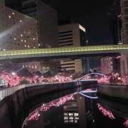 ヒメ日記 2026/01/31 23:10 投稿 玲子(れいこ） 東金人妻花壇