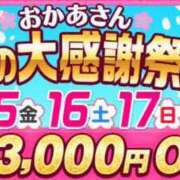 ヒメ日記 2024/03/15 10:55 投稿 ひなた 横浜おかあさん