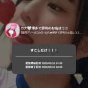 ヒメ日記 2025/03/31 17:31 投稿 カナ 【福岡デリヘル】20代・30代★博多で評判のお店はココです！