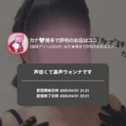 ヒメ日記 2025/04/01 22:29 投稿 カナ 【福岡デリヘル】20代・30代★博多で評判のお店はココです！
