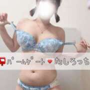 ヒメ日記 2025/04/26 20:09 投稿 カナ 【福岡デリヘル】20代・30代★博多で評判のお店はココです！