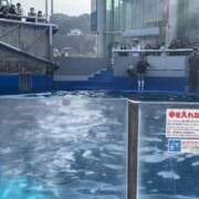 ヒメ日記 2026/01/20 14:55 投稿 カナ 【福岡デリヘル】20代・30代★博多で評判のお店はココです！