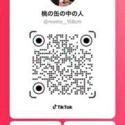 ヒメ日記 2026/04/29 19:51 投稿 カナ 【福岡デリヘル】20代・30代★博多で評判のお店はココです！