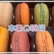 ヒメ日記 2026/08/21 05:20 投稿 カナ 【福岡デリヘル】20代・30代★博多で評判のお店はココです!