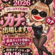 ヒメ日記 2026/10/12 02:51 投稿 カナ 【福岡デリヘル】20代・30代★博多で評判のお店はココです！