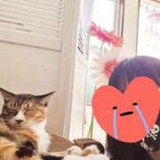 ヒメ日記 2025/02/07 20:00 投稿 橋本 池田マッサージ