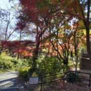 ヒメ日記 2024/12/08 15:33 投稿 まりあ もしも素敵な妻が指輪をはずしたら・・・カーラ