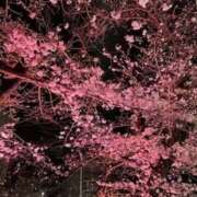 ヒメ日記 2025/03/30 21:43 投稿 まあさ もしも素敵な妻が指輪をはずしたら・・・カーラ