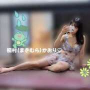 ヒメ日記 2025/06/11 10:19 投稿 槇村かおり ワイフコレクション