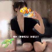 ヒメ日記 2025/07/29 17:26 投稿 槇村かおり ワイフコレクション