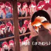 ヒメ日記 2025/09/17 10:27 投稿 槇村かおり ワイフコレクション