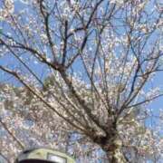 ヒメ日記 2026/03/23 18:53 投稿 槇村かおり ワイフコレクション