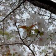 ヒメ日記 2026/04/13 13:55 投稿 槇村かおり ワイフコレクション