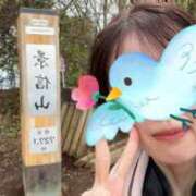 槇村かおり ⛰️明日出勤@錦糸町⛰️ ワイフコレクション