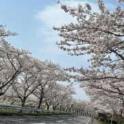 ヒメ日記 2025/04/21 21:33 投稿 ミナ マドンナ(仙台)