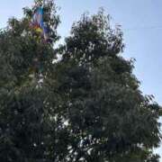 ヒメ日記 2026/01/04 13:33 投稿 ミナ マドンナ(仙台)