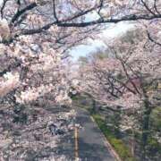 ほのか 春っぽい？ 奥様はエンジェル　立川店