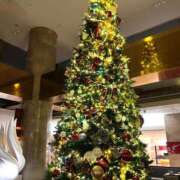 ヒメ日記 2024/12/23 07:45 投稿 このは 越谷発デリヘル 生イキッ娘！