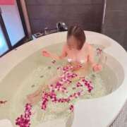 ヒメ日記 2025/05/19 07:49 投稿 このは 越谷発デリヘル 生イキッ娘！