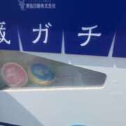 ヒメ日記 2025/03/24 15:49 投稿 恋心（ここ） エスペランサ新館