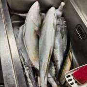 ヒメ日記 2025/10/08 09:56 投稿 恋心（ここ） エスペランサ新館