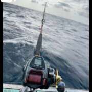 ヒメ日記 2026/03/18 12:29 投稿 恋心（ここ） エスペランサ新館